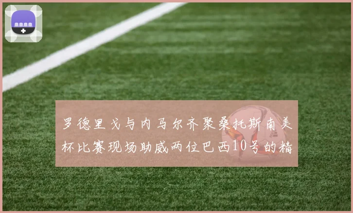 罗德里戈与内马尔齐聚桑托斯南美杯比赛现场助威两位巴西10号的精彩时刻